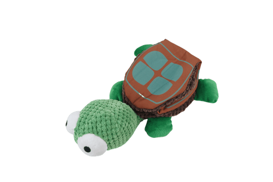 Turtle Buddy